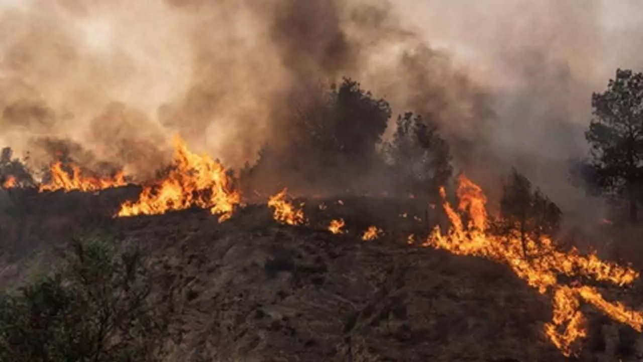 Wildfires continue in Bosnia Wildfires continue in Bosnia