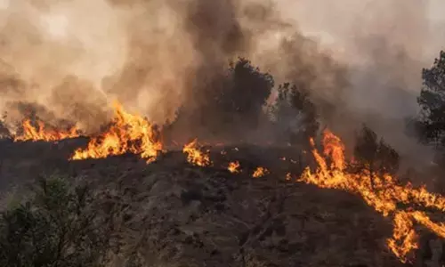 Wildfires continue in Bosnia