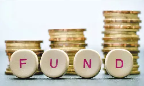 Nominated councillors to get development funds