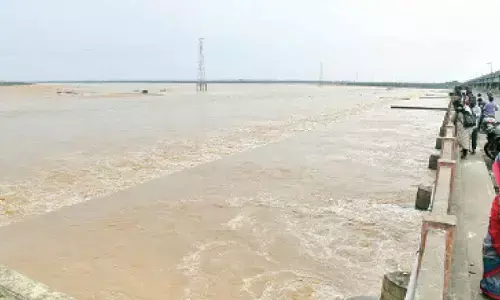 Flood alert as water level rises in Godavari