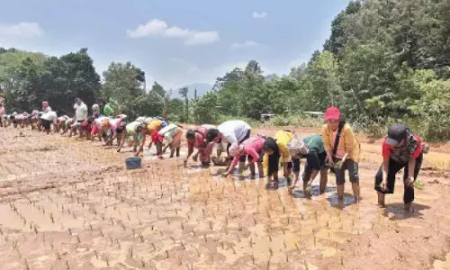 Training on natural farming for Meghalaya women farmers in Paderu