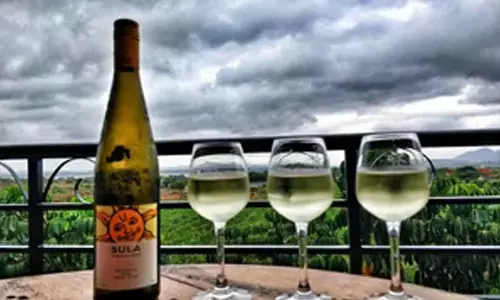 Sula Vineyards revenue falls 7.9 pc in Q1; stock drops nearly 40 pc in 1 year