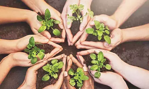 Google launches new AI innovations to strengthen agri sector