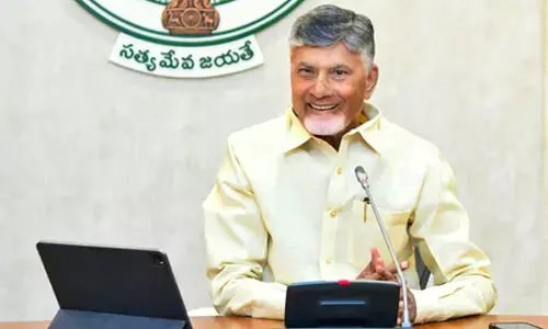 Andhra Pradesh CM to meet Union Ministers to discuss state project, funds