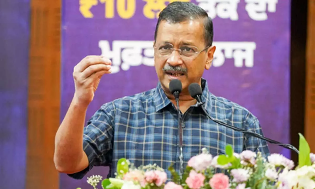 Kejriwal slams Gujarat govt over lathi charge on protesting livestock farmers in Sabarkantha Kejriwal slams Gujarat govt over lathi charge on protesting livestock farmers in Sabarkantha