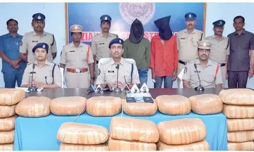 Two held, 230 kg of ganja seized