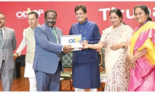 Collector receives ODOP award for Bobbili Veena