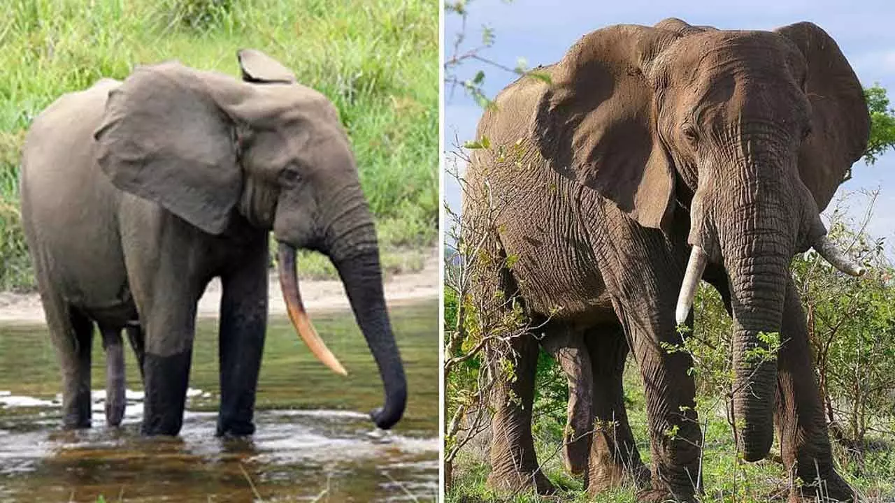 Representational Image Representational Image