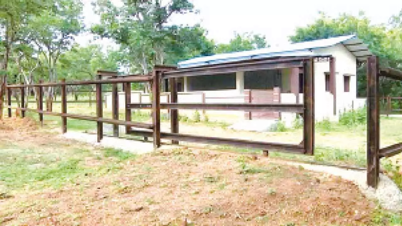 Tourists voice anger: Chamarajanagara’s much-awaited elephant camp yet to open