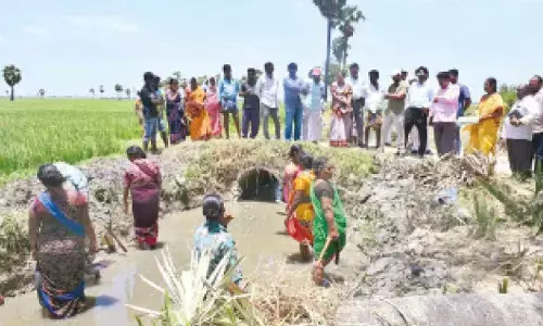 Derive benefit from MNREGS, farm labour told