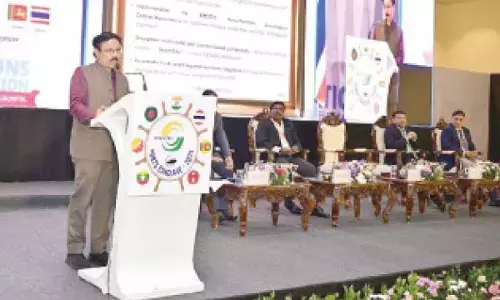 Experts highlight long-term frameworks for sustainable port devpt