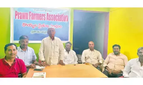 Prawn farmers demand cut in electricity, feed prices