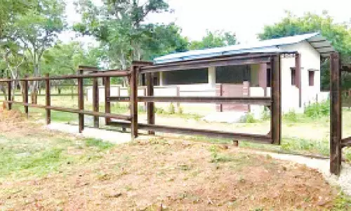 Tourists voice anger: Chamarajanagara’s much-awaited elephant camp yet to open