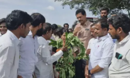 Massive Protest Erupts in Bingidoddi Jogulamba Gadwal: Seed Cotton Farmers Demand Justice Amid Exploitation by Companies and Organizers
