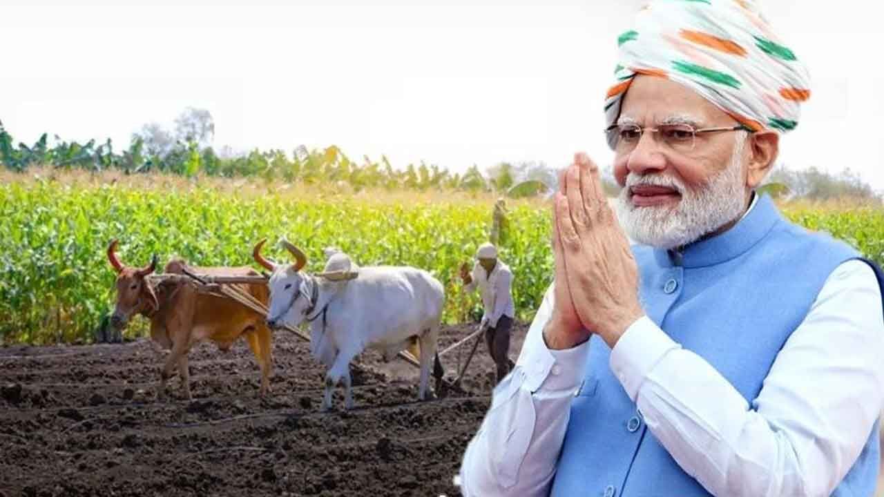 PM Dhan Dhanya Krishi Yojana: Learn about the PM Dhan Dhanya Krishi Yojana, under which farmers received a gift of 24 thousand crore rupees.