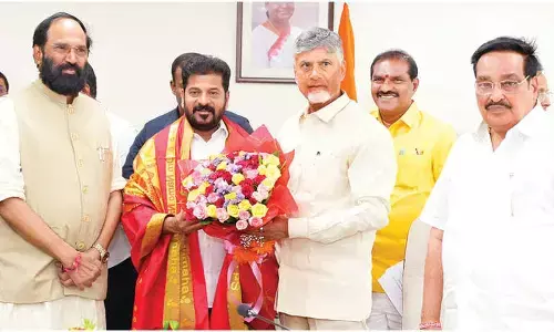 CM pitches for Banakacherla link project at Jal Shakti meet