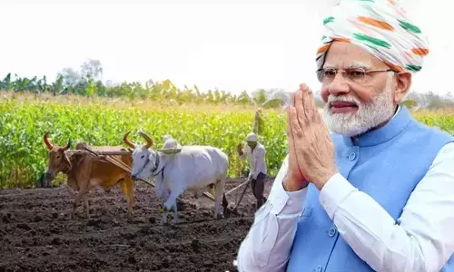 Boon For Farmers: PM Dhan Dhanya Krishi Yojana gets Cabinet nod