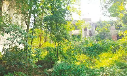 Khandre lauded by Surjewala for preserving HMT forest land