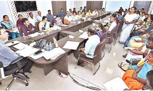 Ensure no lapses in maternal and child healthcare: Collector