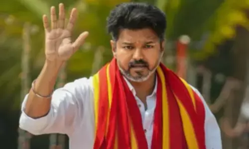 Madras HC issues notice to actor-turned-politician Vijay, TVK over flag design copyright suit