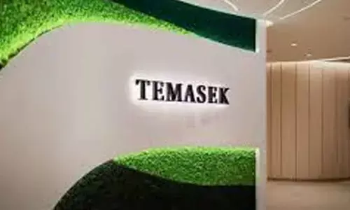 Temasek, others can invest more if the ecosystem is conducive