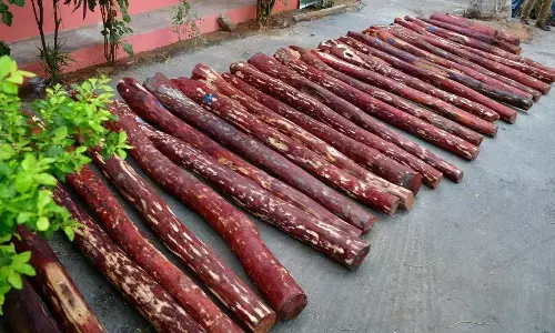 Guarantor gets 6 months imprisonment