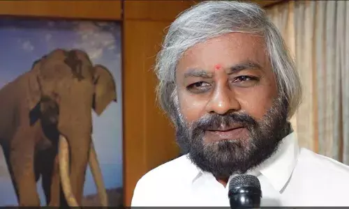 Manufacture, storage of biodegradable carry bags gets cabinet nod