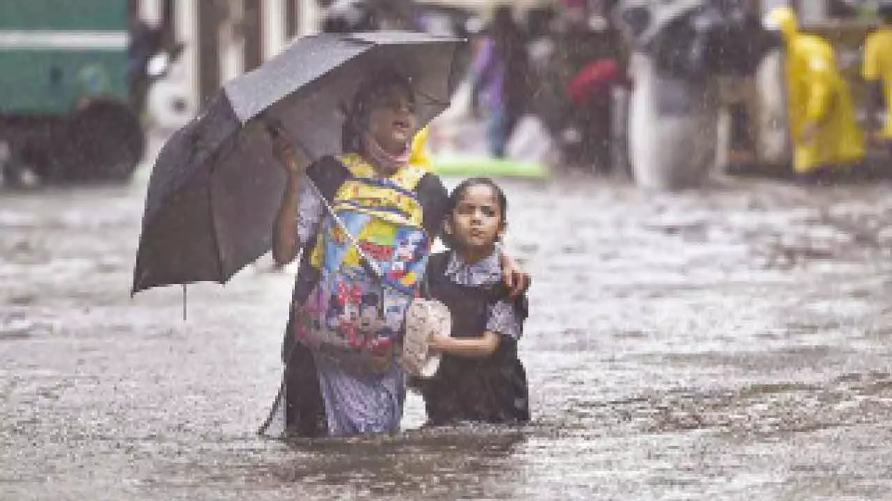 Widespread monsoon rains predicted across India, IMD issues alerts Widespread monsoon rains predicted across India, IMD issues alerts