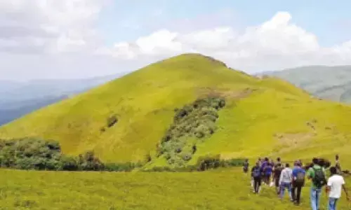 Authorities to regulate traffic flow to Mullayanagiri to prevent landslides