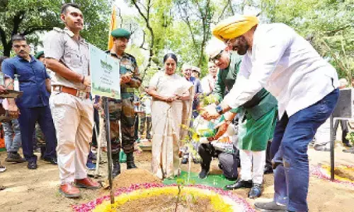Van Mahotsav 2025: Delhi launches massive tree plantation drive