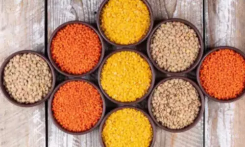 Easy Monsoon Hacks to Keep Your Grains Fresh and Pest-Free at Home