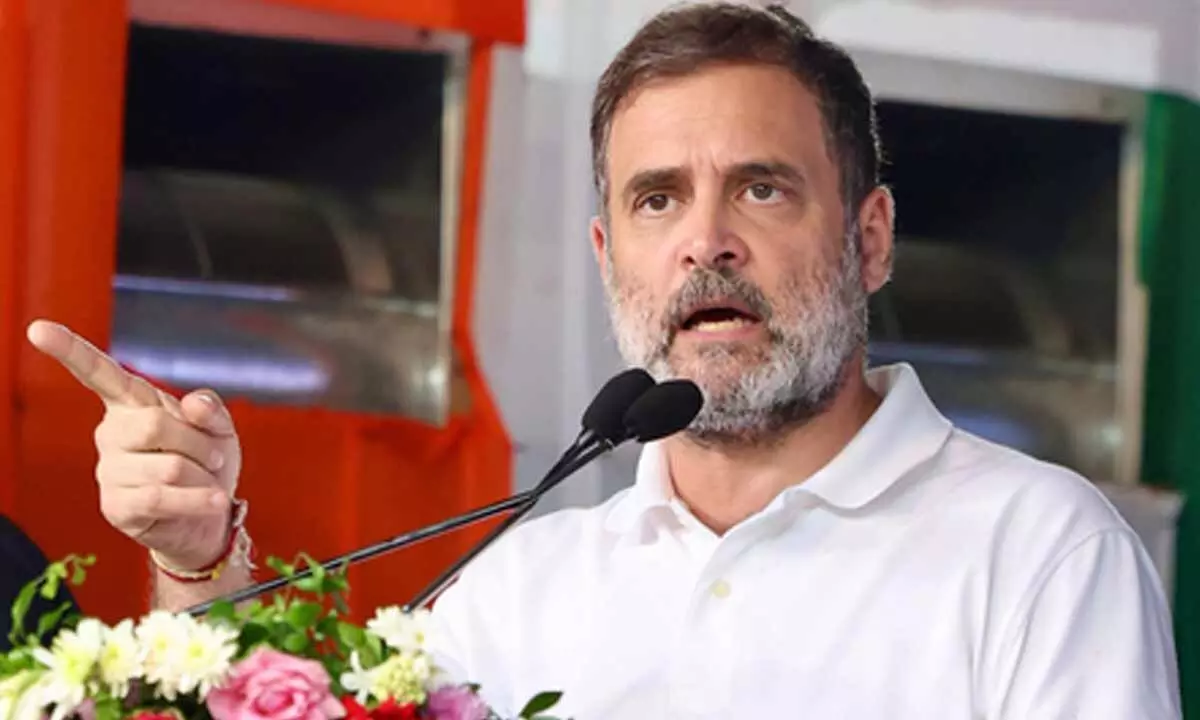 BJP tears into Rahul Gandhi over Trumps jet remark, calls him Pakistani propaganda campaigner BJP tears into Rahul Gandhi over Trumps jet remark, calls him Pakistani propaganda campaigner