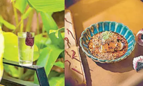 Tansen to hold Royal Kitchen Food Festival