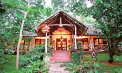 Sustainable travel spaces for your next eco-friendly vacation