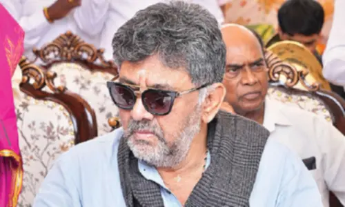 Technical panel’s report will guide dam safety works: DKS