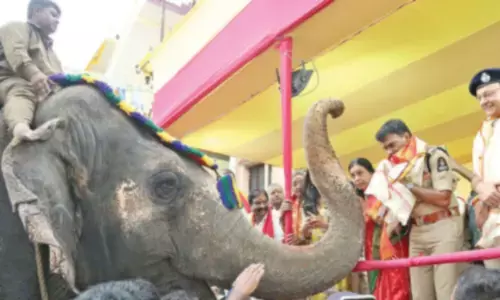 Hyd’bad top cop flags off grand Bonalu procession