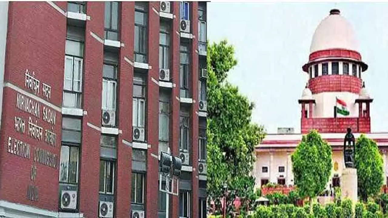 We have power to seek proof of citizenship: EC to SC We have power to seek proof of citizenship: EC to SC