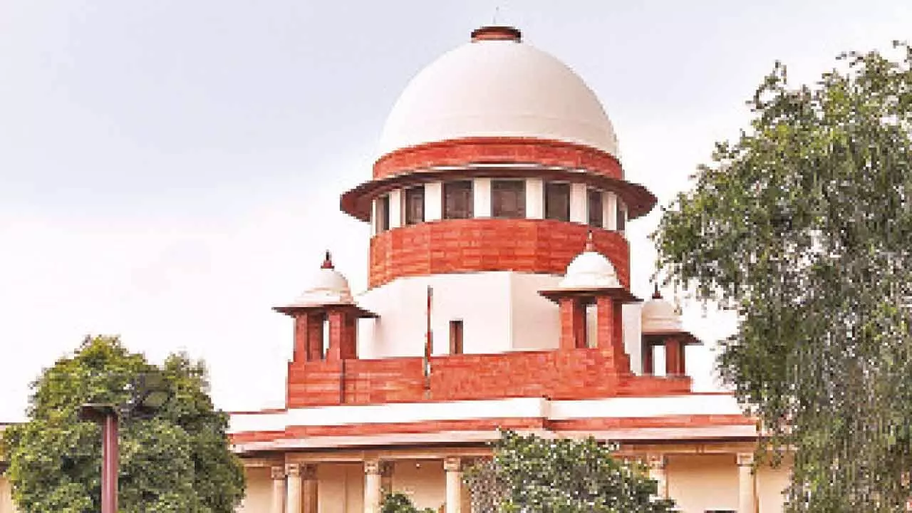 SC junks plea for use of indigenous cow milk at Tirumala rituals SC junks plea for use of indigenous cow milk at Tirumala rituals