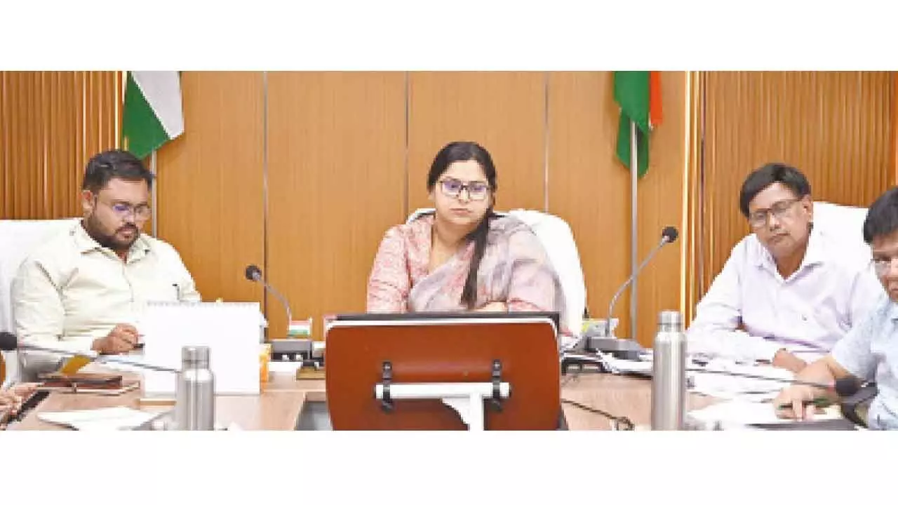 Land issues should be resolved by August 15: DC