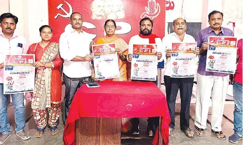 Smart meters burden on consumers: CPI