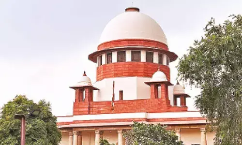 SC junks plea for use of indigenous cow milk at Tirumala rituals