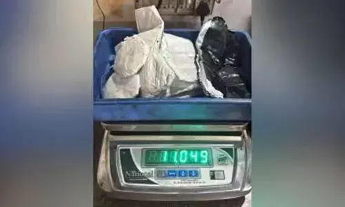 Couple held at Surat airport with over 20 kg gold paste