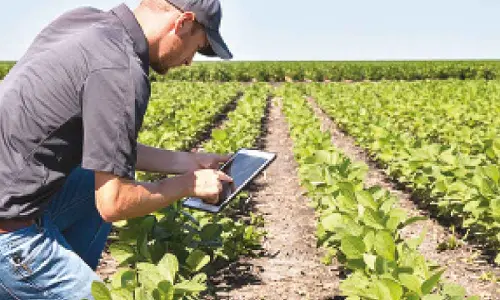 Yogi stresses on need to accelerate research, innovation in farming