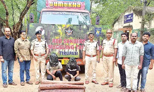 9 red sanders logs seized, 2 held