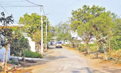 Govt approves Rs 6,478 crore road devpt programme