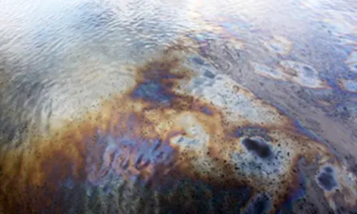 NIT Rourkela develops eco-friendly biofilm to mitigate impact of industrial oil spills, chemical waste