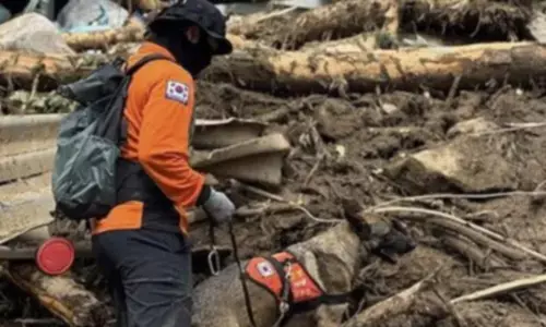 South Korea: Death toll rises to 23 after heavy rains, landslides