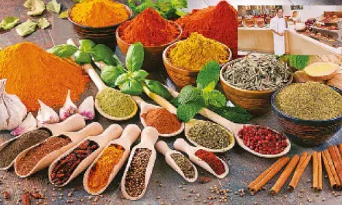 World flavors, Indian roots: How kitchens are redefining global dining