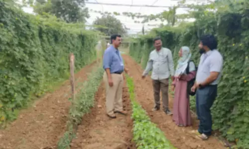 District Horticulture Officer Promotes Profitable Vegetable Farming in Mungala Village