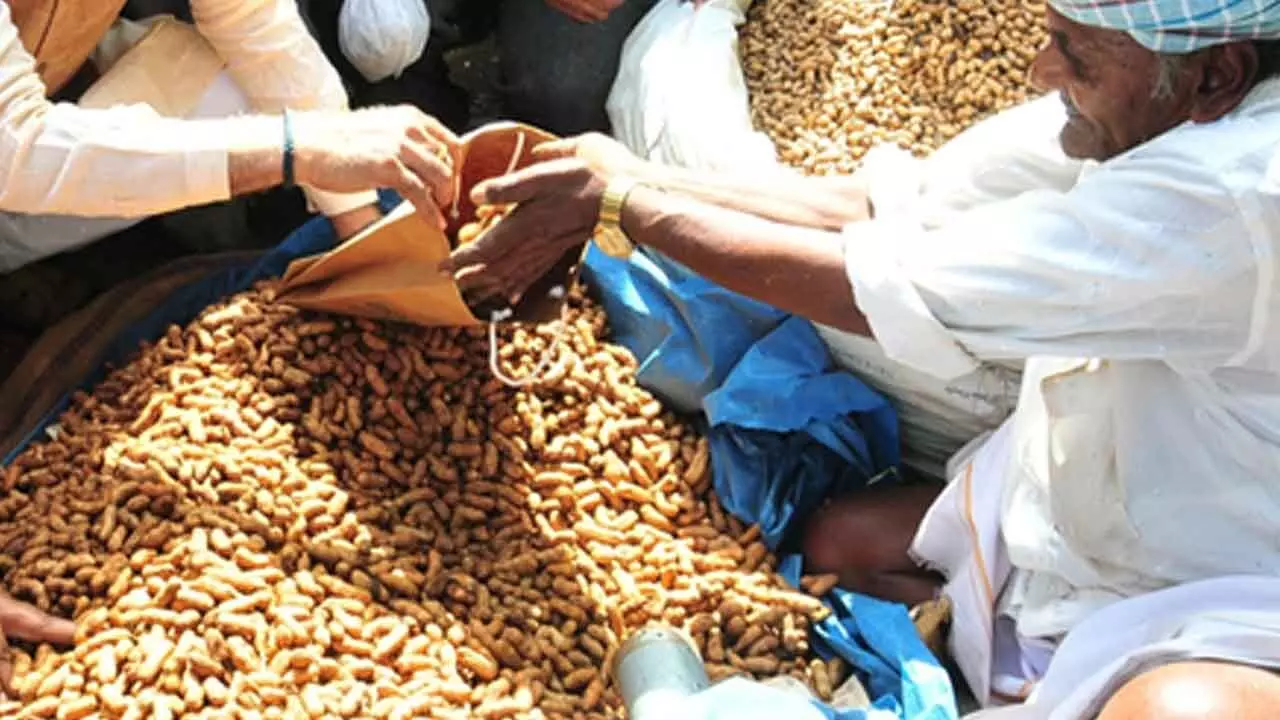 K’taka: Urea, fertiliser prices rise after surge in demand, farming community in distress K’taka: Urea, fertiliser prices rise after surge in demand, farming community in distress